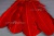 Декоративный Пучок из перьев, перо 23см/красный - купить в Кургане. Цена: 11.16 руб.