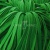 Шнур 15мм плоский (100+/-1м) №16 зеленый - купить в Кургане. Цена: 10.32 руб.