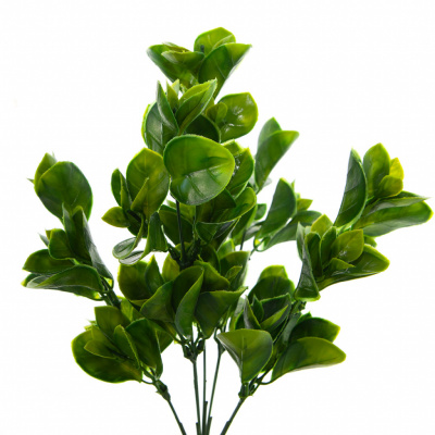 Трава искусственная -1, шт (эвкалипт лист 32 см/8 см)				 - купить в Кургане. Цена: 169.93 руб.