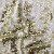 Трикотажное полотно, Сетка с пайетками, шир.130 см, #315, цв.-белый/золото - купить в Кургане. Цена 693.39 руб.