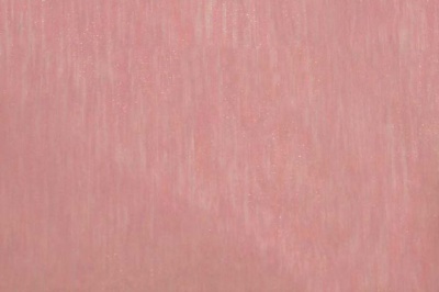 Органза однотонная "Амелия" С19 (Розовый) 280 см - купить в Кургане. Цена 303.09 руб.