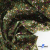 Ткань костюмная «Микровельвет велюровый принт», 220 г/м2, 97% полиэстр, 3% спандекс, ш. 150См Цв  #9 - купить в Кургане. Цена 439.76 руб.