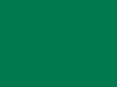 85 см № 258 яр. зеленый спираль (G) сорт-2 - купить в Кургане. Цена: 16.97 руб.
