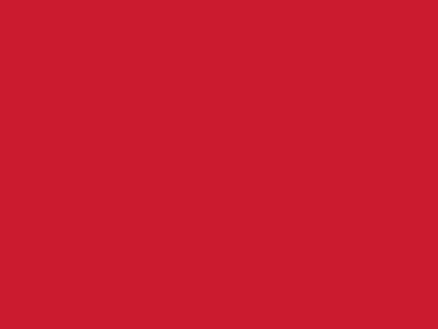 Сетка подкладочная красный, 60г/м2 (10 м/кг) - купить в Кургане. Цена 885.73 руб.