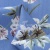 Плательная ткань "Фламенко" 12.1, 80 гр/м2, шир.150 см, принт растительный - купить в Кургане. Цена 241.49 руб.