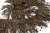 008-коричневый, Бахрома арт.001 шир.10см (упак.12+/-0,5м) - купить в Кургане. Цена: 1 017.33 руб.