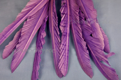 Декоративный Пучок из перьев, перо 25см/фиолетовый - купить в Кургане. Цена: 12.19 руб.