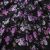 Плательная ткань "Фламенко" 20.1, 80 гр/м2, шир.150 см, принт растительный - купить в Кургане. Цена 243.96 руб.