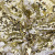 Трикотажное полотно, Сетка с пайетками, шир.130 см, #315, цв.-белый/золото - купить в Кургане. Цена 693.39 руб.