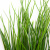 Трава искусственная -4, шт  (осока 50 см/8 см  7 листов)				 - купить в Кургане. Цена: 130.73 руб.